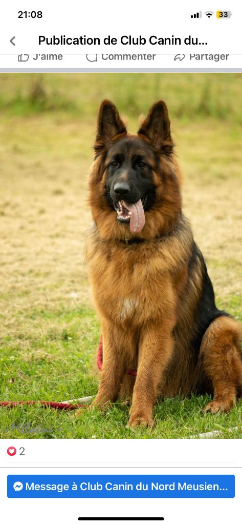 Thor De La Tribu Des Plaines